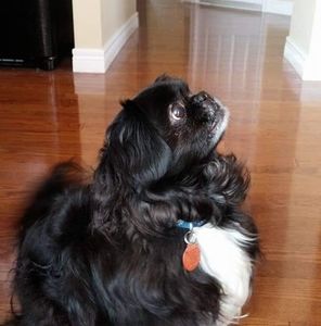 Meet your Posher, Andrew